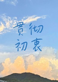 贯彻初衷小说后续情节